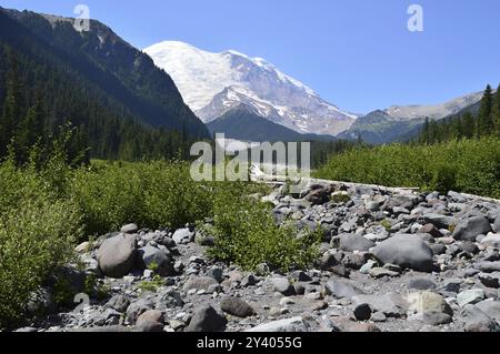 Fluss und Gletscher im Mount Rainier National Park, Washington, USA, Nordamerika Stockfoto