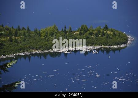 Spirit Lake im Mount St. Helens National Volcanic Monument, Washington, USA. Spirit See im Mount St Stockfoto