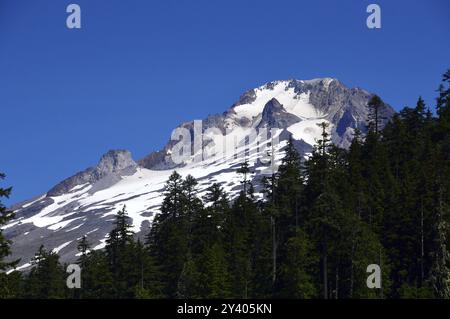 Panorama von Mount Hood, Vulkan in der Kaskadenkette, Oregon, USA, Nordamerika Stockfoto