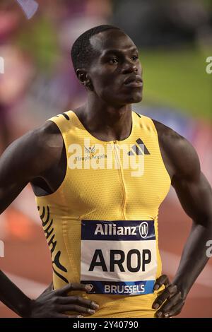 Marco AROP aus Kanada trat in den 800-m-Rennen der Männer beim Leichtathletikfinale der Memorial Van Damme Diamond League im King Baudouin Stadium in Brüssel an Stockfoto