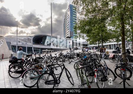 Arnhem, Niederlande - 25. August 2024 : Passagiere auf dem Weg zum Arnhem Centraal, Hauptbahnhoffassade und Eingang. Stockfoto