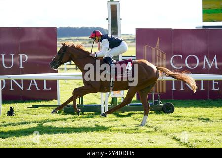 Kyprios Ridden by Ryan Moore gewinnt die Comer Group International Irish St. Leger beim Irish Champions Festival auf der Rennbahn Curragh, Dublin. Bilddatum: Sonntag, 15. September 2024. Stockfoto