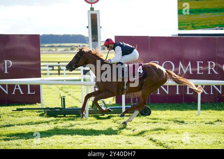 Kyprios Ridden by Ryan Moore gewinnt die Comer Group International Irish St. Leger beim Irish Champions Festival auf der Rennbahn Curragh, Dublin. Bilddatum: Sonntag, 15. September 2024. Stockfoto