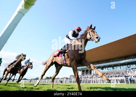 Kyprios Ridden by Ryan Moore gewinnt die Comer Group International Irish St. Leger beim Irish Champions Festival auf der Rennbahn Curragh, Dublin. Bilddatum: Sonntag, 15. September 2024. Stockfoto