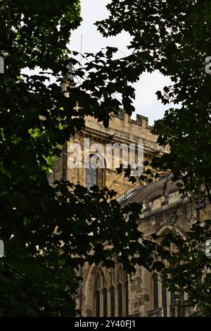 Ein historisches Steingebäude, teilweise von grünen Blättern verdeckt, zeigt komplexe architektonische Details und einen Turm. Die Szene vermittelt ein Gefühl von nat Stockfoto