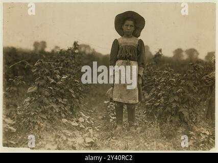 Bertha Marshall, eine Beerenpflückerin auf der Jenkins Farm, Rock Creek, nahe Baltimore, MD Ich war schon 2 Sommer hier. Er nimmt etwa 10 Kisten pro Tag. (2 Cent pro Packung). Foto: 7. Juli 1909. Lage: Baltimore, Maryland. Vergrößertes Bild Anzeigen Stockfoto