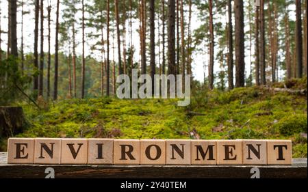 Weltumwelttag, Weltklimatag, Tag Der Sauberen Luft. Umweltwort auf Holzblock geschrieben. Umweltfreundlicher und nachhaltiger Umweltschutz Stockfoto