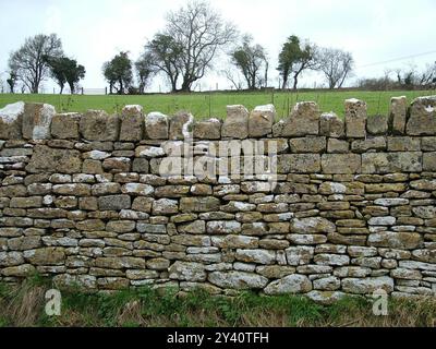 Eine sehr gepflegte traditionelle Trockensteinmauer auf den Cotwolds in der Nähe des Dorfes Sherston. Diese Mauern sind aus Kalkstein gebaut und halten für viele Jahre Stockfoto