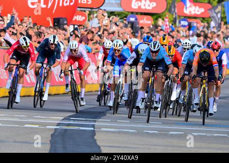 Sprint Tim MERLIER (Belgien), Olav KOOIJ (Niederlande), Madis MIHKELS (Estland) Elite Strassenrennen/Europameisterschaft Männer Elite Road Race von Heusden-Zolder nach Hasselt (129 km) am 15. September 2024. Die Radsport EM/Straßenradsport-Europameisterschaften 2024 (UEC Road Europameisterschaften 2024) der Union Européenne de Cyclisme von 11. bis 15. September 2024 in der belgischen Provinz Limburg. EuroRoad24, EuroRoad 2024. Stockfoto