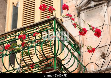 711 Rote Bougainvillea-Blüten wachsen auf dem Balkon eines Hauses im eklektischen Stil auf der Straße 358 Calle Amargura, Habana Vieja. Havanna-Kuba. Stockfoto