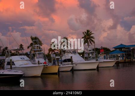 Islamorada, Florida - 9. September 2024: Charterboote bei Sonnenaufgang an der Whale Harbor Marina in Islamorada, Florida Keys Stockfoto