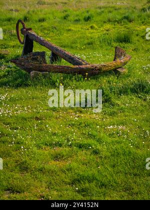 Alter klassischer rostiger Meeresanker, der auf dem grünen Gras liegt. Tag Stockfoto