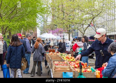 Obst und Äpfel aus Lancaster County am Rittenhouse Square Saturday Farmer's Market, Philadelphia, Pennsylvania Stockfoto
