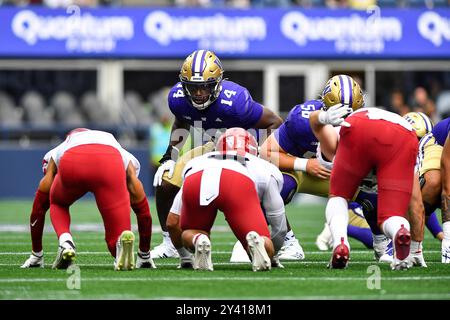 14. September 2024: Die Washington Huskies schlagen Milton Hopkins Jr. (14) während des NCAA-Fußballspiels zwischen den Washington Huskies und den Washington State Cougars in Seattle, WA. Washington besiegte Washington 24:19. Steve Faber/CSM Stockfoto