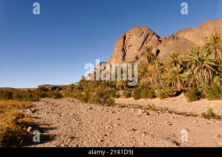 Die Provinz Ouarzazate an der Grenze zur Wüste ist reich an historischen Zeugnissen und bezaubernden Landschaften Berbers Marokko, Nordafrika Stockfoto