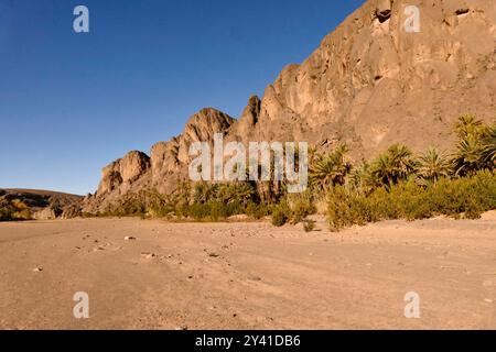 Die Provinz Ouarzazate an der Grenze zur Wüste ist reich an historischen Zeugnissen und bezaubernden Landschaften Berbers Marokko, Nordafrika Stockfoto