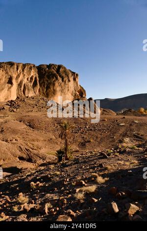 Die Provinz Ouarzazate an der Grenze zur Wüste ist reich an historischen Zeugnissen und bezaubernden Landschaften Berbers Marokko, Nordafrika Stockfoto