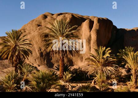 Die Provinz Ouarzazate an der Grenze zur Wüste ist reich an historischen Zeugnissen und bezaubernden Landschaften Berbers Marokko, Nordafrika Stockfoto