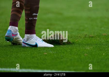 Augsburg, Deutschland. September 2024. Symbol Fussballrasen im Spiel FC AUGSBURG - FC ST. PAULI 3-1 am 15. September 2024 in Augsburg. Saison 2024/2025, 1.Bundesliga, FCA, Spieltag 3, 3.Spieltag Fotograf: ddp Images/STAR-Images - DFL-VORSCHRIFTEN VERBIETEN JEDE VERWENDUNG VON FOTOS als BILDSEQUENZEN und/oder QUASI-VIDEO - Credit: ddp Media GmbH/Alamy Live News Stockfoto