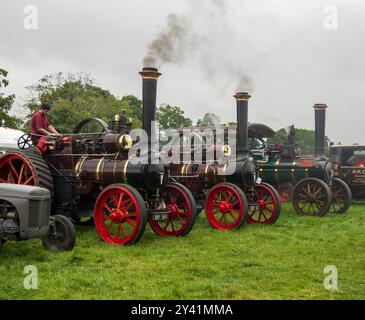 Dampftraktoren bei der 37. Hunton Steam Gathering, 2024, Wensleydale, North Yorkshire Stockfoto