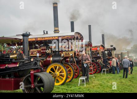 Dampftraktoren werden für die 37. Hunton Steam Gathering 2024 in Wensleydale, North Yorkshire, poliert Stockfoto