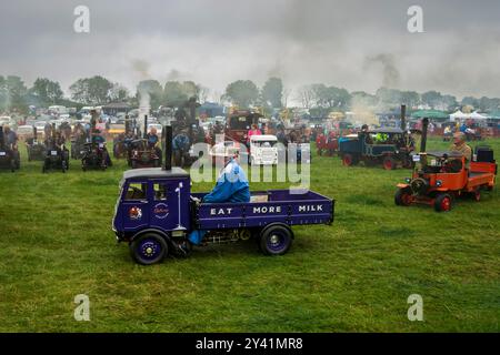 Modell-Dampfloks auf der 37. Hunton Steam Gathering, 2024, Wensleydale, North Yorkshire Stockfoto