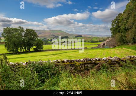 Bauernhäuser und Weiden in Upper Wensleydale, Quarry Road, in der Nähe von Sedbusk, Yorkshire Dales National Park. Mossdale Moor wird in der Ferne gesehen. Stockfoto