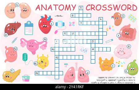 Medizinische Anatomie Kreuzworträtsel. Puzzlespiel für Kinder. Lustiges Medizinspiel mit Cartoon-inneren Organen, heute Vektorvorlage Stock Vektor