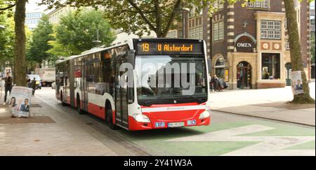 Ein Bus der Linie 19 in Richtung Alsterdorf fährt in der Mönckebergstraße entlang. Altstadt Hamburg *** von der Mönckebergstraße fährt Ein Bus auf der Route 19 Richtung Alsterdorf entlang der Altstadt Hamburg Stockfoto