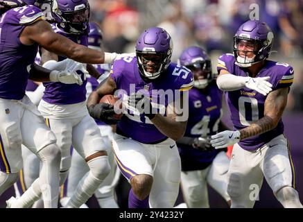 Minneapolis, Usa. September 2024. Jihad Ward (52) von den Minnesota Vikings feiert mit seinen Teamkollegen, nachdem er am Sonntag, den 15. September 2024, einen Pass gegen die San Francisco 49ers im U.S. Bank Stadium in Minneapolis abgefangen hatte. (Foto: Carlos Gonzalez/Minnesota Star Tribune/TNS/SIPA USA) Credit: SIPA USA/Alamy Live News Stockfoto