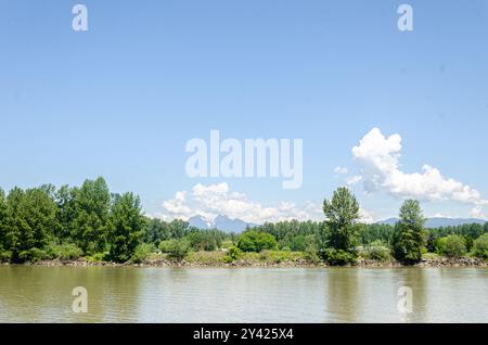 Fraser River in Langley Fort, Kanada, BC. Golden Ears Mountains im Hintergrund sichtbar Stockfoto