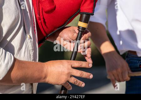 Hände eines Musikers, der Dudelsack spielt in Galicien, Spanien. Volksmusik-Konzept Stockfoto