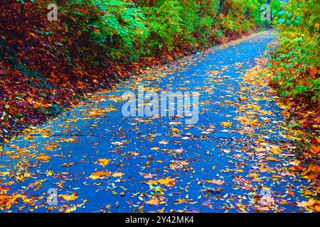 Pfad mit Herbstlaub auf dem Boden. Eine ruhige, gepflasterte Straße, gesäumt von üppigen Bäumen und bunten Blättern, die einen friedlichen natürlichen Pfad schafft Stockfoto
