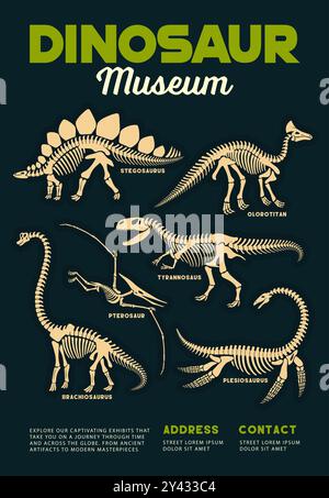Dinosaurier Museum Poster mit prähistorischen Dino Fossilien und Skeletten von Stegosaurus, Brachiosaurus, Pterodactyl und Tyrannosaurus Arten. Vektor Vintage Flyer lädt ein, alte Kreaturen zu erkunden Stock Vektor