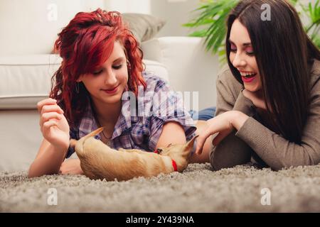 Zwei junge Frauen liegen auf einem Teppich, lachen und spielen mit einem kleinen chihuahua-Welpen. Eine Frau hat rote Haare und trägt ein kariertes Hemd, während sie die hat Stockfoto