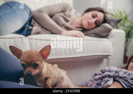 Zwei Frauen, die sich mit einem chihuahua auf einem Sofa entspannen, schaffen eine gemütliche und fröhliche Atmosphäre in einer ruhigen Atmosphäre zu Hause Stockfoto