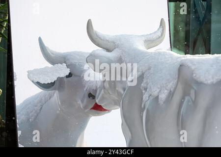 Ventspils, Lettland, 5. Februar 2021: Süße und lustige weiße Kuh mit bemalten Lippen, die an einem verschneiten Wintertag in den Spiegel schauen, eine der vielen Statuen Stockfoto