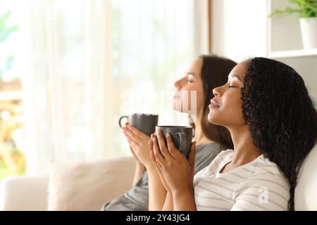 Seitenansicht Porträt von zwei Mitbewohnern, die zu Hause auf einer Couch sitzen und Kaffee trinken Stockfoto