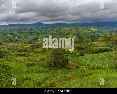 Blick von oben auf das Tal mit Reisfeldern. Blauer Himmel und Wolken. Mindanao, Philippinen. Stockfoto