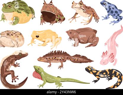 Zeichentrickfrosche Eidechsen. Exotische Frosch- und Eidechsenreptilien, tropische Amphibien Reptilientier Set Kröte Gecko Molch Salamander Regenwald Wildtier Terrarium, Swanky Vektor Illustration Original Kunstwerk Stock Vektor