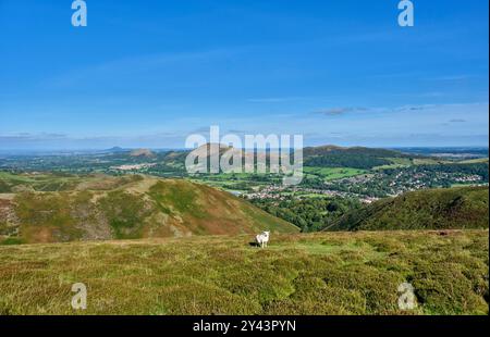 Wrekin, Lawley und Caer Caradoc von Ashlet auf dem Long Mynd, Church Stretton, Shropshire Stockfoto