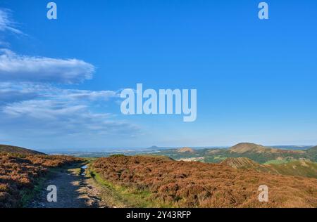 Die Wrekin, die Lawley und Caer Caradoc von der Long Mynd, Church Stretton, Shropshire Stockfoto