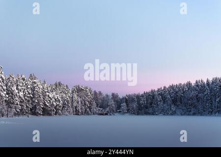 Winterlandschaft mit rosa Sonnenuntergang im Nationalpark Nuuksio, Finnland Stockfoto