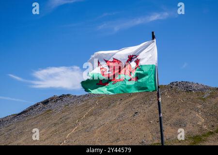 Walisische Drachenfahne im Snowdonia-Nationalpark mit dem Berg Elidir Fawr dahinter. Llanberis, Gwynedd, Wales, Großbritannien Stockfoto