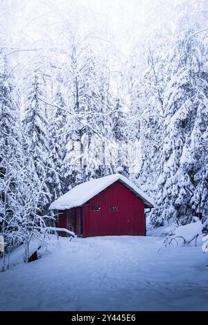 Rote Holzhütte zwischen schneebedeckten Bäumen im Wald Stockfoto