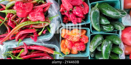 Verschiedene, bunte Chili-Paprika in Körben an einem Marktstand Stockfoto