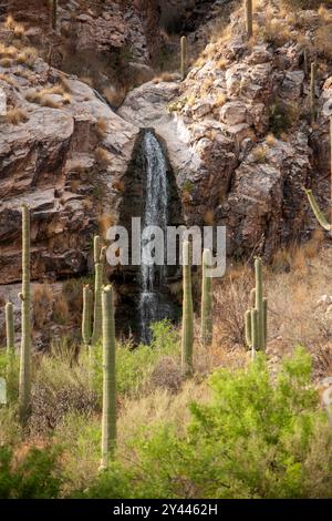 Ein kleiner Wasserfall in der Wüste von Tucson, Arizona Stockfoto