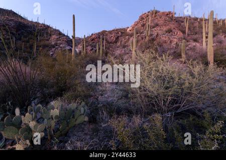 Zerklüftete Landschaft im Ventana Canyon Arizona Stockfoto