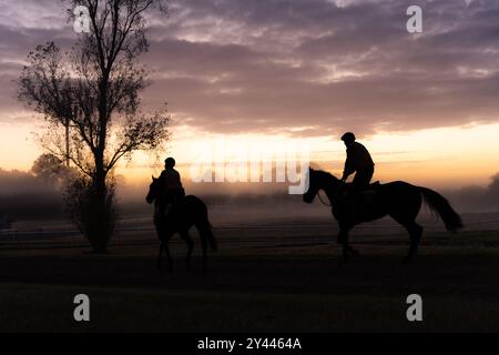 Zwei Reiter zu Pferd und Baumsilhouette bei nebligem Sonnenaufgang Stockfoto