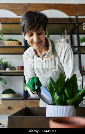 Eine reife Frau pflegt liebevoll ihre lebendigen Zimmerpflanzen. Stockfoto